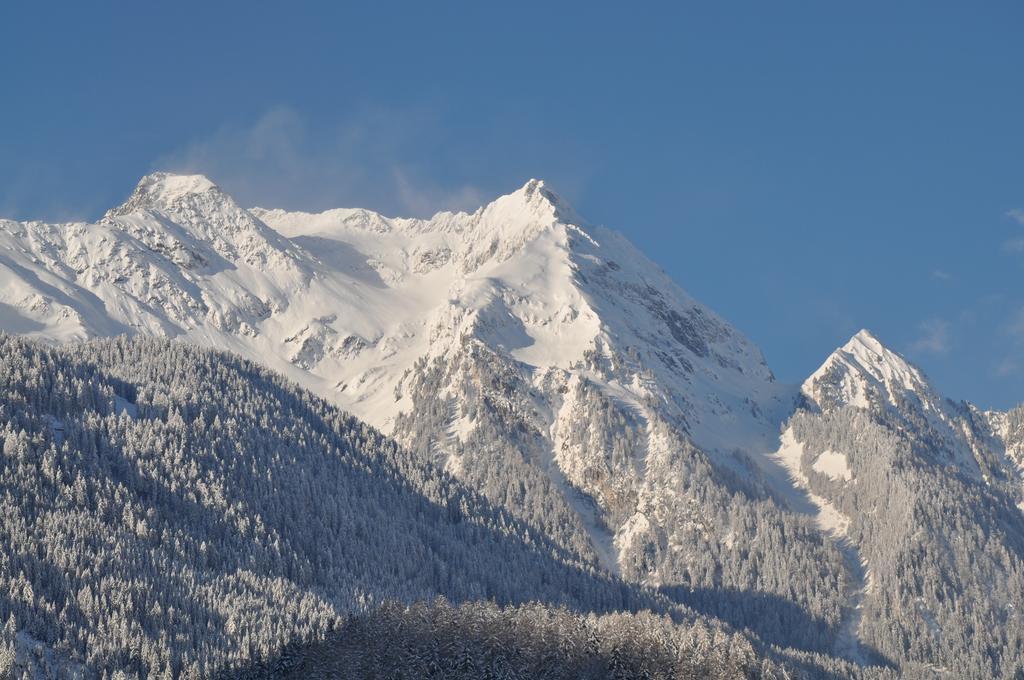 Gasthof Holaus Mayrhofen
